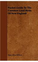 Pocket Guide to the Common Land Birds of New England