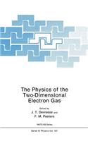Physics of the Two-Dimensional Electron Gas