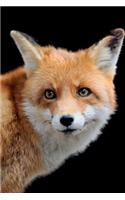 Red Fox Notebook & Journal. Productivity Work Planner & Idea Notepad: Brainstorm Thoughts, Self Discovery, To Do List