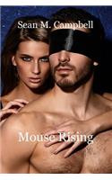 Mouse Rising