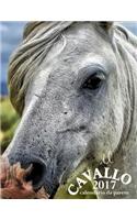 Il Cavallo 2017 Calendario Da Parete (Edizione Italia)