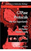 Gtpase Protocols