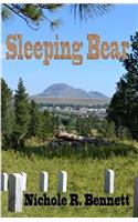 Sleeping Bear