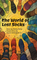 World of Lost Socks