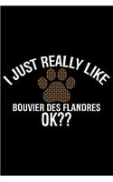 I Just Really Like Bouvier Des Flandres Ok?