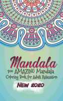 100 AMAZING Mandala Coloring Book for Adult Relaxation for Relaxation