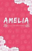 Amelia Notebook