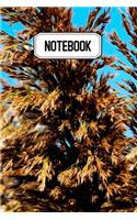 Notebook: Idéal pour vos prises de notes, votre carnet vous permettra de ne rien oublier - Original & pratique de 110 pages lignées