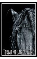 Terminplaner 2020: Jahresplaner von September 2019 bis Dezember 2020 mit Pferd - Planer mit 174 Seiten in weiß im Format A5 mit glänzendem Soft Cover.
