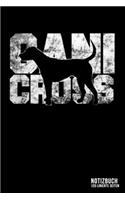Canicross: DIN A5 Kalender 2020 - Collegeblock Notizen