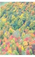 2019 Weekly Planner Fall Foliage Mountain View 134 Pages: (Notebook, Diary, Blank Book)(2019 Planners Calendars Organizers Datebooks Appointment Books Agendas)