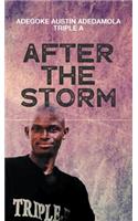 After the Storm