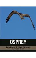 Osprey: Fun Facts & Cool Pictures