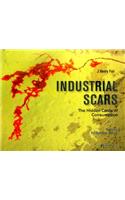 Industrial Scars: The Hidden Costs of Consumption