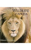 Wildlife of Africa