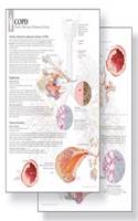 Understanding COPD Study Set Replacement Pads