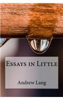 Essays in Little