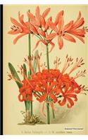 Botanical Print Journal