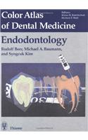 Color Atlas of Dental Medicine: Endodontology