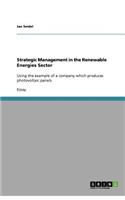 Strategic Management in the Renewable Energies Sector