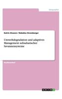 Umweltdegradation und adaptives Management subsaharischer Savannensysteme