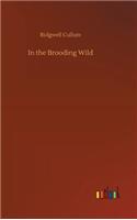 In the Brooding Wild