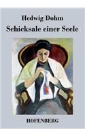 Schicksale einer Seele: (German)