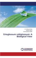 Erioglossum Rubiginosum