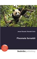 Pleomele Fernaldii: (English)