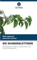 Wunderkletterer