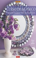 Curos de Mosaico Para Principiantes E Iniciados
