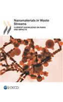 Nanomaterials in Waste Streams Current Knowledge on Risks and Impacts