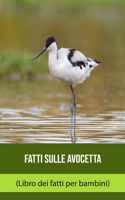 Fatti sulle Avocetta (Libro dei fatti per bambini)