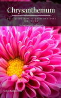 Chrysanthemum: Full Guide How t? Grow ?nd Care for Mums
