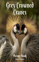 Grey Crowned Crane Picture Book: Photobook Collection of Grey Crowned Crane birds -East African crowned crane Balearica regulorum - A gift for Bird watchers Bird lovers A Photobook 