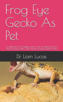 Frog Eye Gecko As Pet