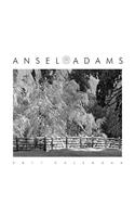 Ansel Adams 2011 Calendar