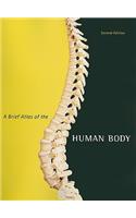 Brief Atlas of the Human Body