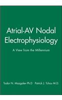 Atrial-AV Nodal Electrophysiology