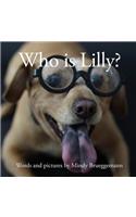 Who is Lilly?