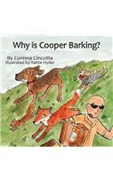 Why is Cooper Barking?