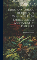 Étude Anatomique De Quelques Graminées Et En Particulier Des Agropyrum De L'hérault