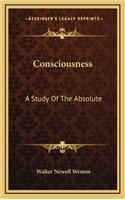 Consciousness