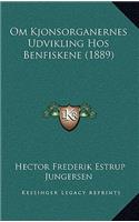 Om Kjonsorganernes Udvikling Hos Benfiskene (1889)