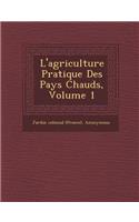 L'Agriculture Pratique Des Pays Chauds, Volume 1