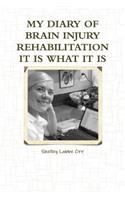 My Diary of Brain Injury Rehabilitation It Is What It Is