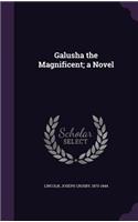 Galusha the Magnificent; A Novel