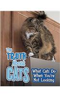 Pets Undercover! Pack A of 4