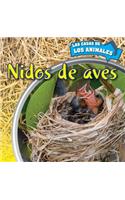 Nidos de Aves (Inside Bird Nests)