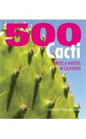 500 Cacti: Species and Varieties in Cultivation
